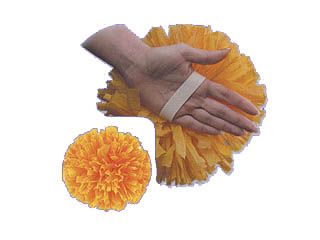 Solid Hand Pom 4 and 6 inch